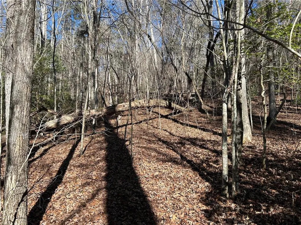 0000 Twin River Orchard Road Demorest, GA 30535