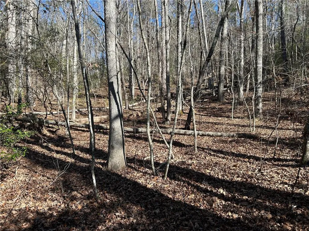 0000 Twin River Orchard Road Demorest, GA 30535