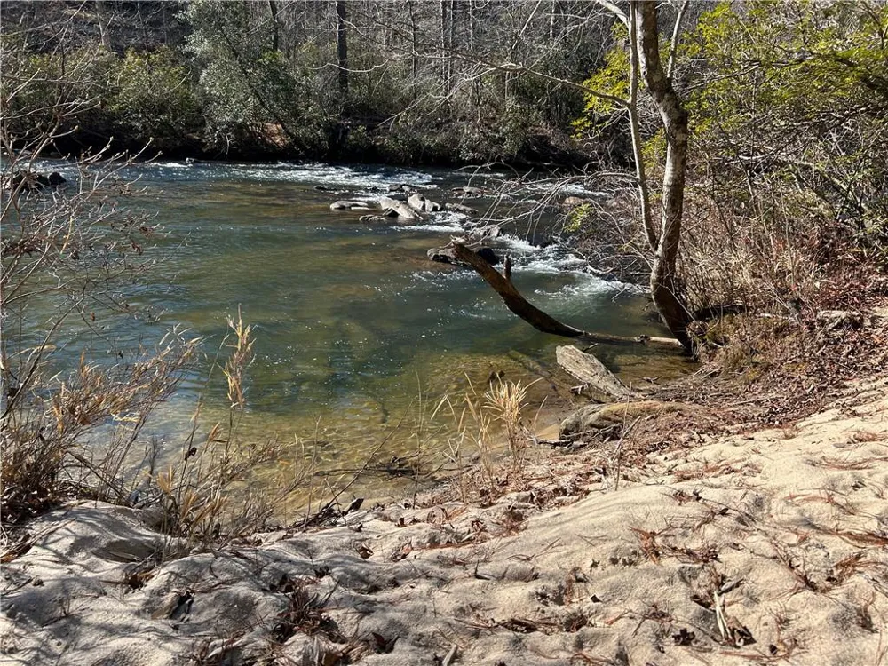 0000 Twin River Orchard Road Demorest, GA 30535