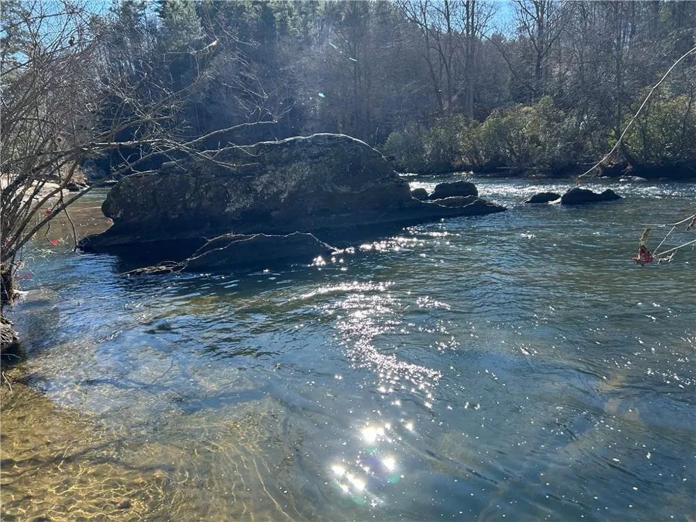 0000 Twin River Orchard Road Demorest, GA 30535