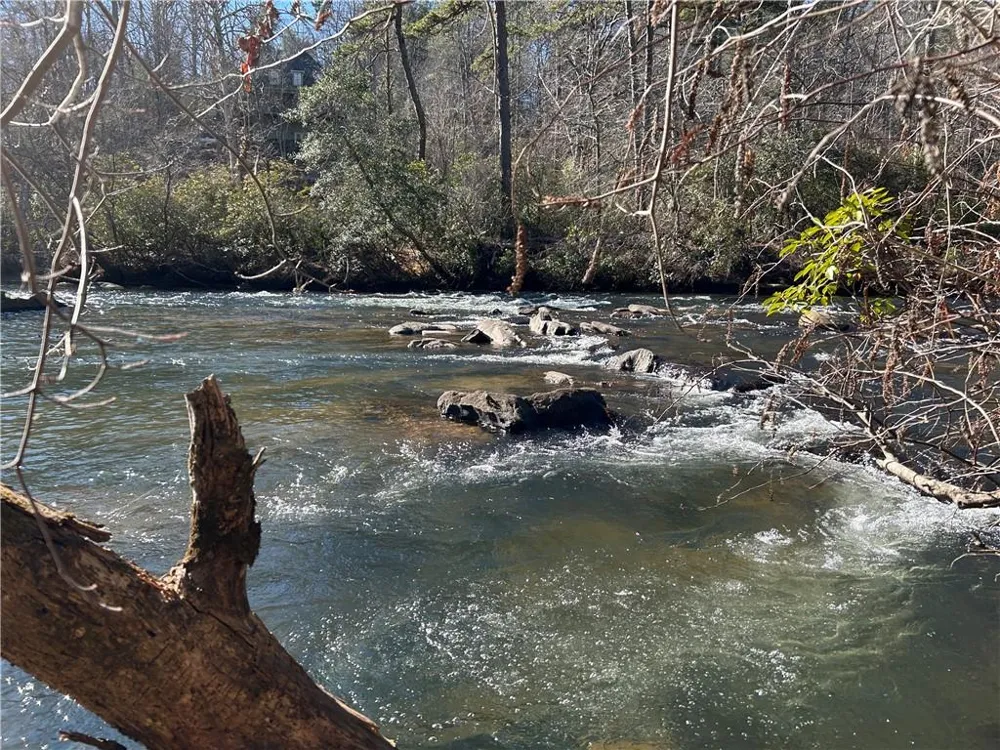 0000 Twin River Orchard Road Demorest, GA 30535