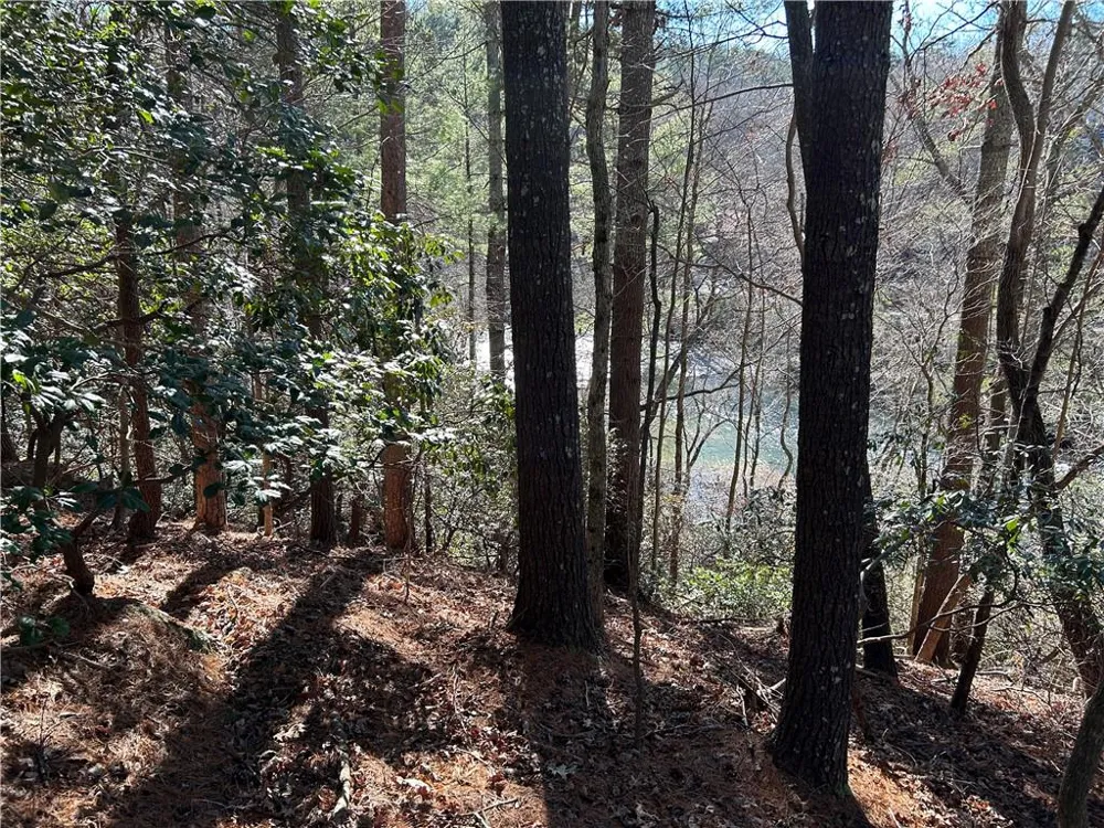 0000 Twin River Orchard Road Demorest, GA 30535