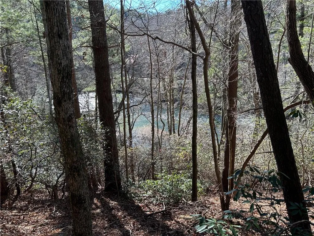 0000 Twin River Orchard Road Demorest, GA 30535