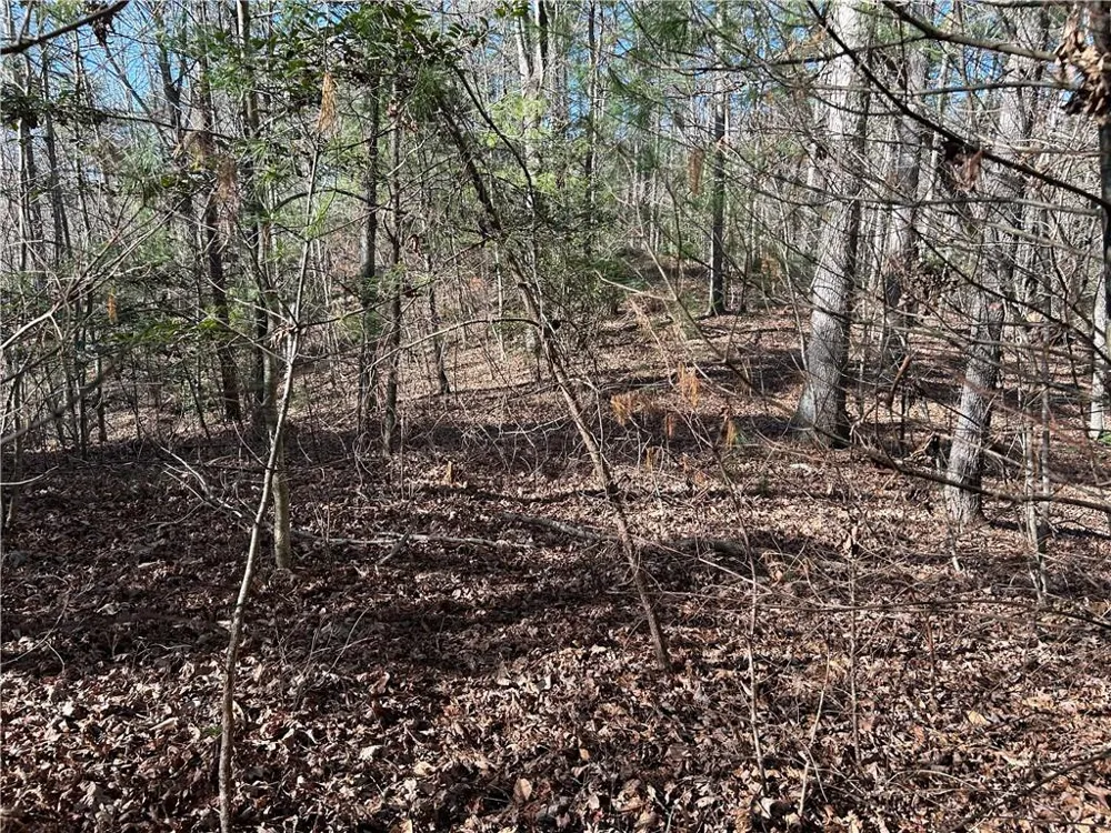 0000 Twin River Orchard Road Demorest, GA 30535