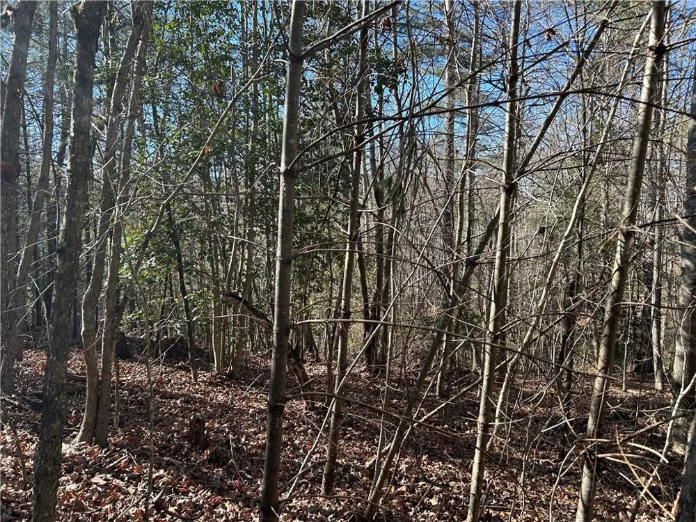 0000 Twin River Orchard Road Demorest, GA 30535