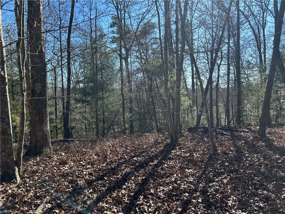 0000 Twin River Orchard Road Demorest, GA 30535