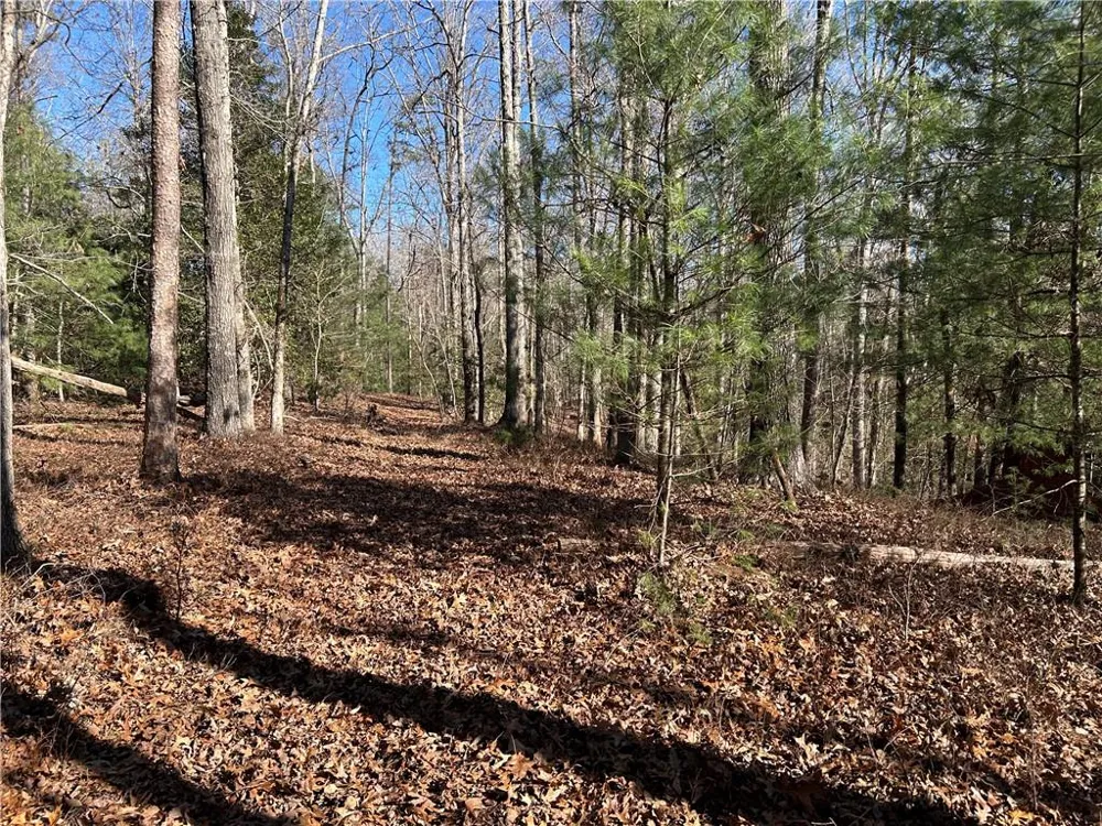 0000 Twin River Orchard Road Demorest, GA 30535