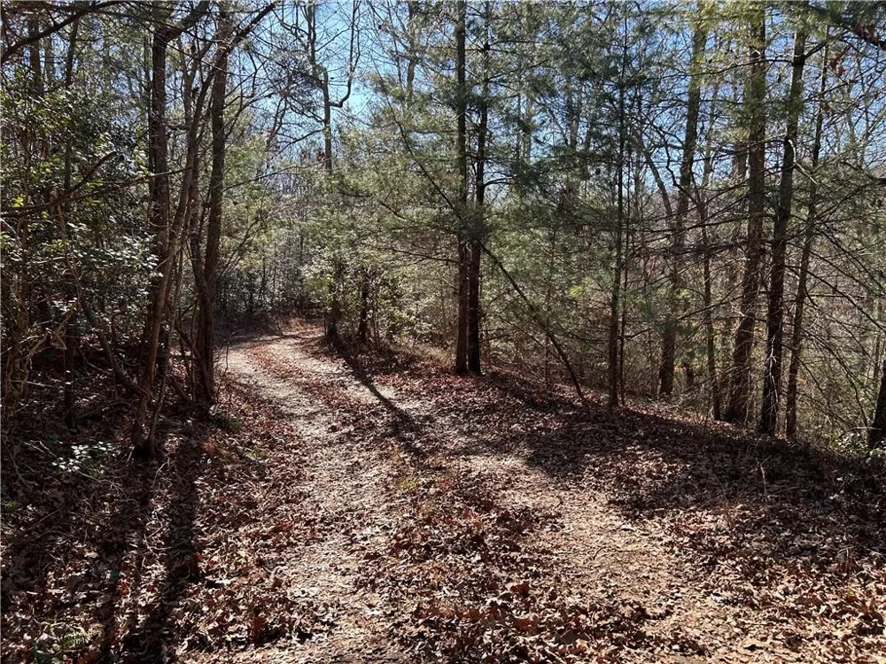 0000 Twin River Orchard Road Demorest, GA 30535