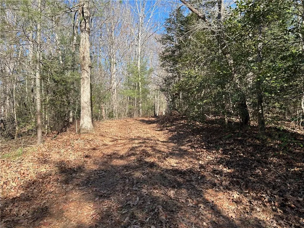0000 Twin River Orchard Road Demorest, GA 30535