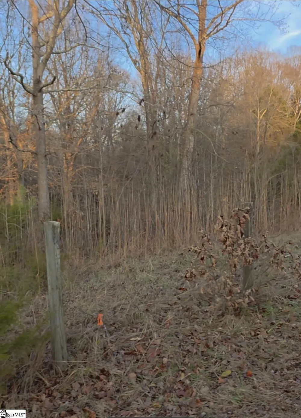 469 Boyce Page Road Honea Path, SC 29654