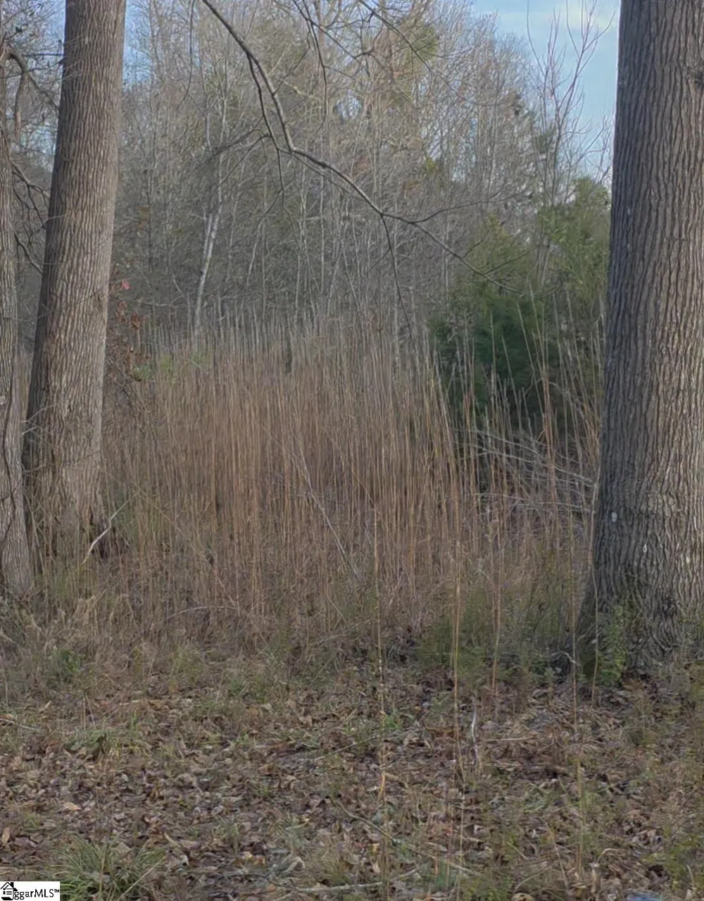 469 Boyce Page Road Honea Path, SC 29654