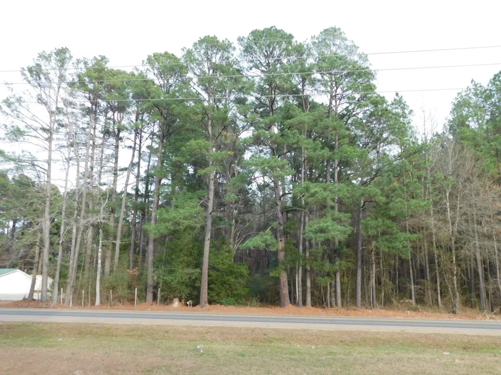 25707 HIGHWAY 371 Sarepta, LA 71071