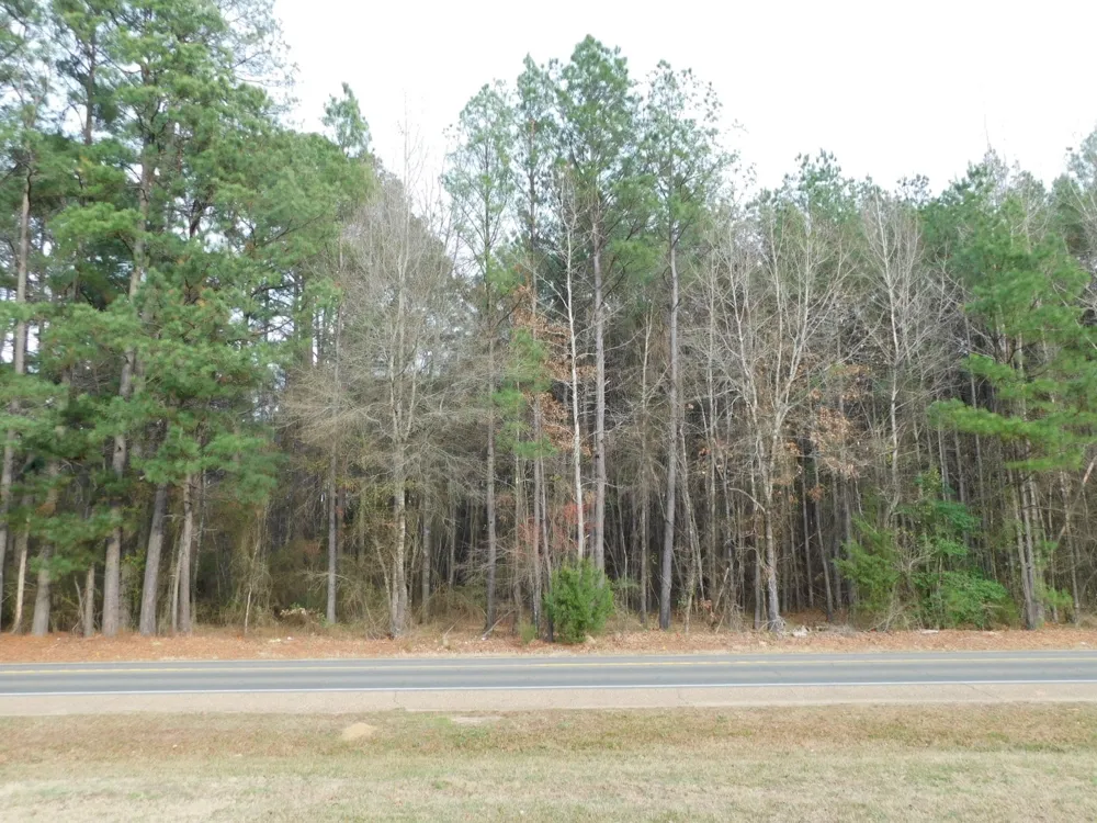 25707 HIGHWAY 371 Sarepta, LA 71071