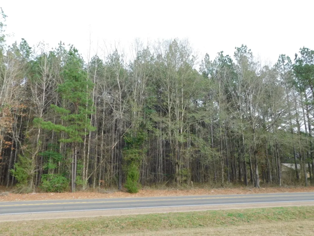 25707 HIGHWAY 371 Sarepta, LA 71071
