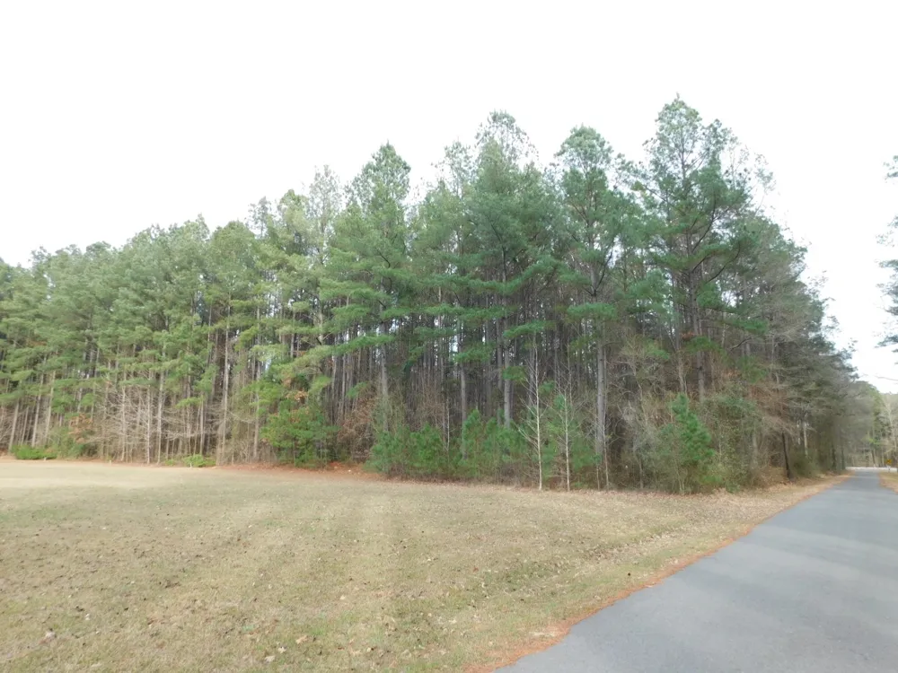 25707 HIGHWAY 371 Sarepta, LA 71071