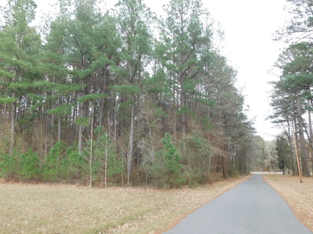25707 HIGHWAY 371 Sarepta, LA 71071