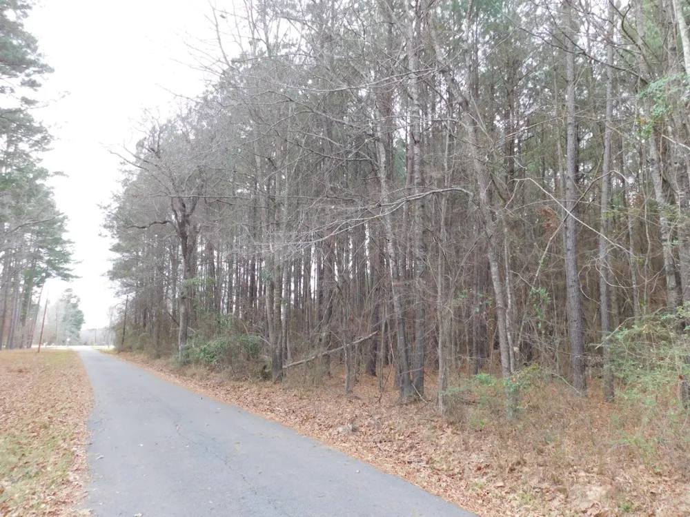 25707 HIGHWAY 371 Sarepta, LA 71071