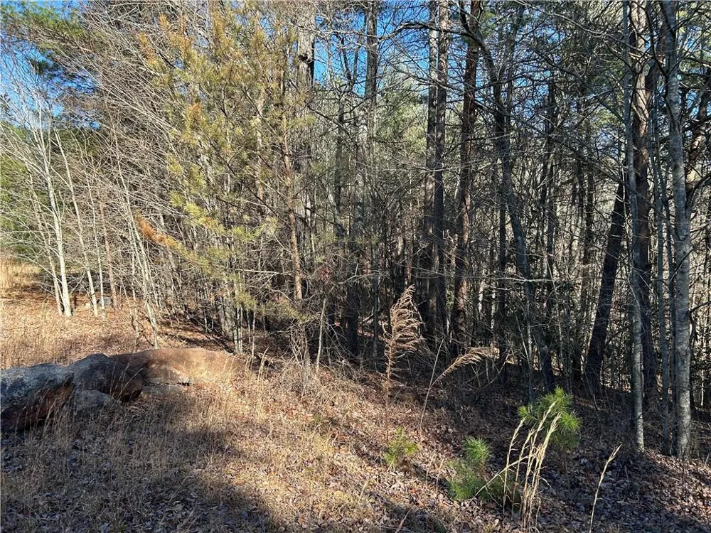 00000 Twin River Orchard Road Demorest, GA 30535