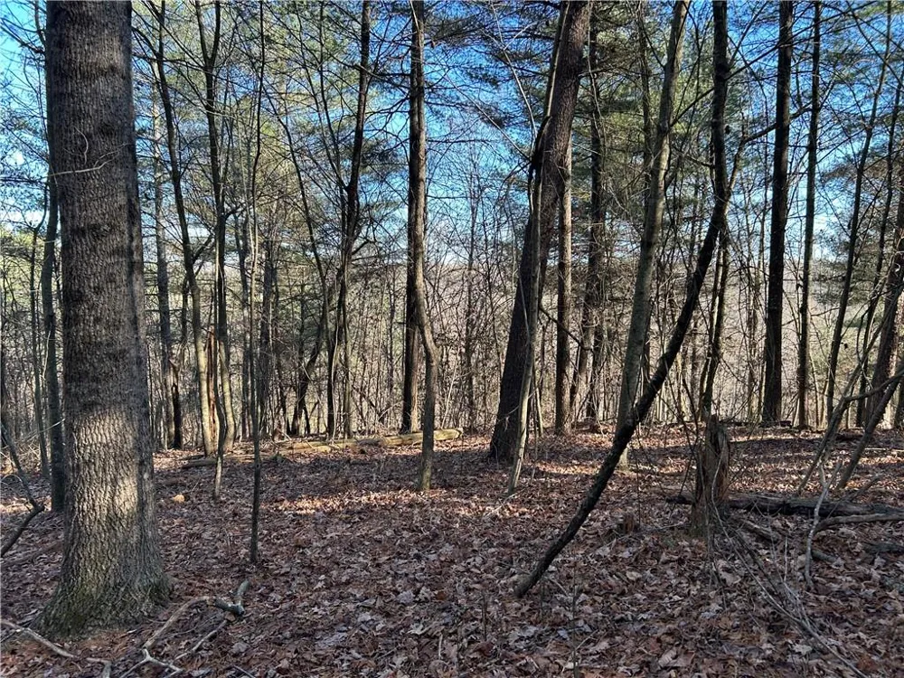 00000 Twin River Orchard Road Demorest, GA 30535