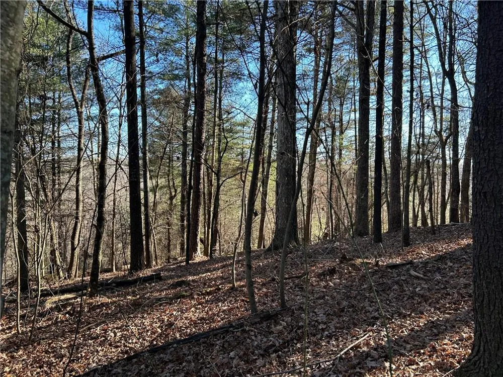 00000 Twin River Orchard Road Demorest, GA 30535