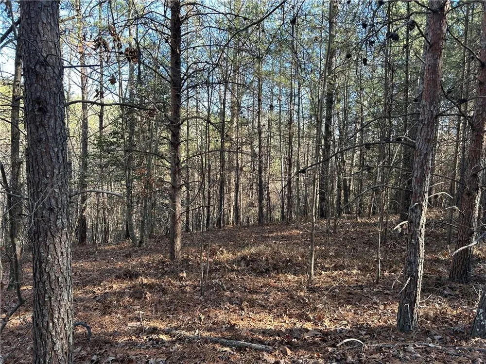 00000 Twin River Orchard Road Demorest, GA 30535