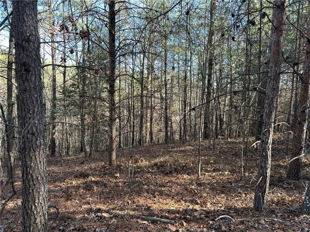 00000 Twin River Orchard Road Demorest, GA 30535