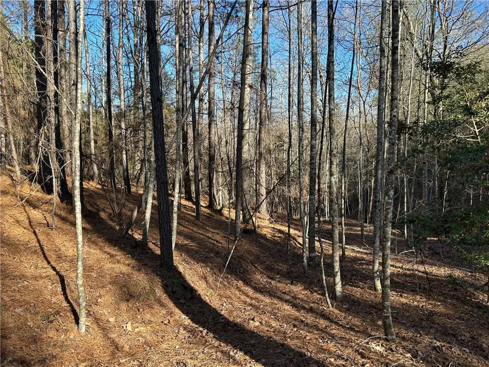 00000 Twin River Orchard Road Demorest, GA 30535