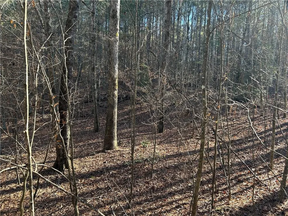 00000 Twin River Orchard Road Demorest, GA 30535