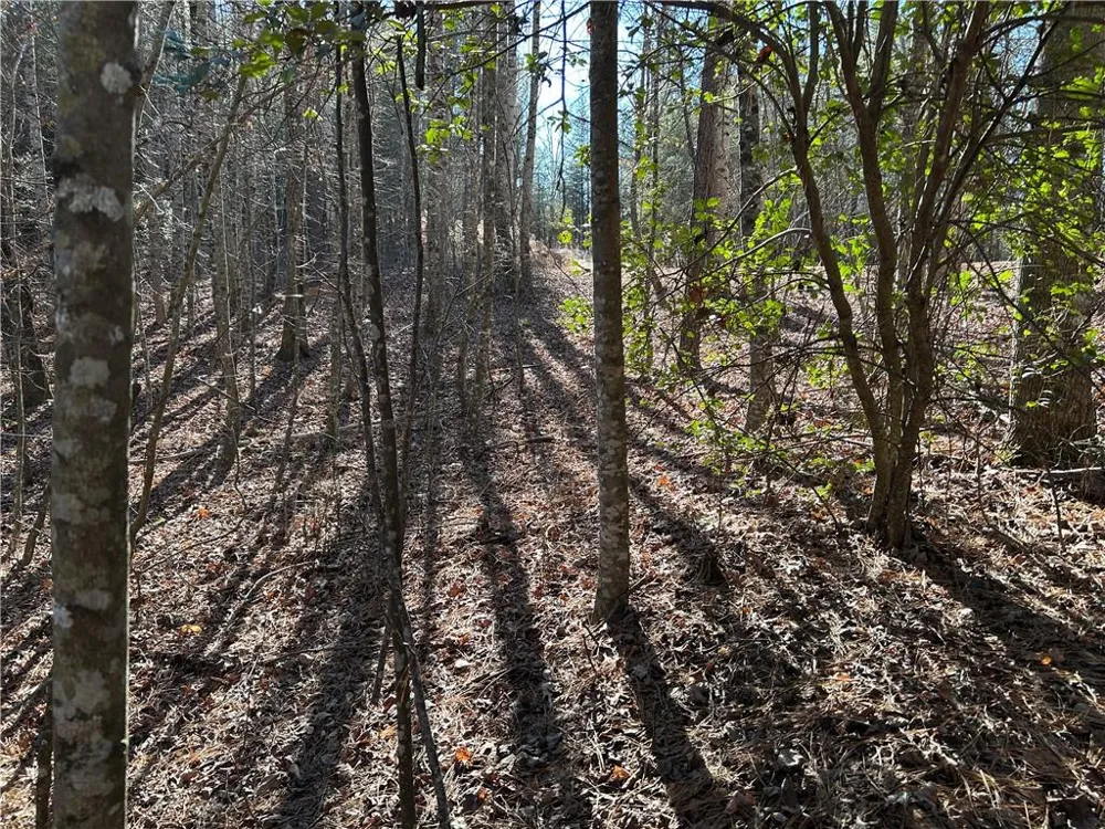 00000 Twin River Orchard Road Demorest, GA 30535