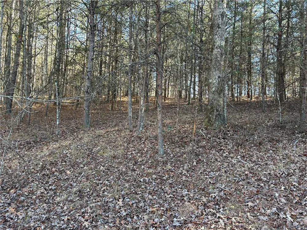 00000 Twin River Orchard Road Demorest, GA 30535
