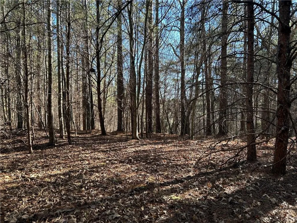 00000 Twin River Orchard Road Demorest, GA 30535