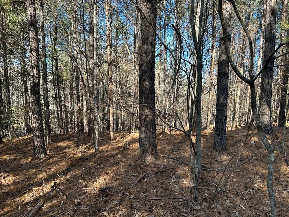 00000 Twin River Orchard Road Demorest, GA 30535