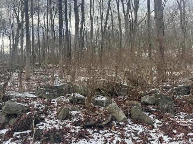Lot 3  Eder Road Stormville, NY 12582