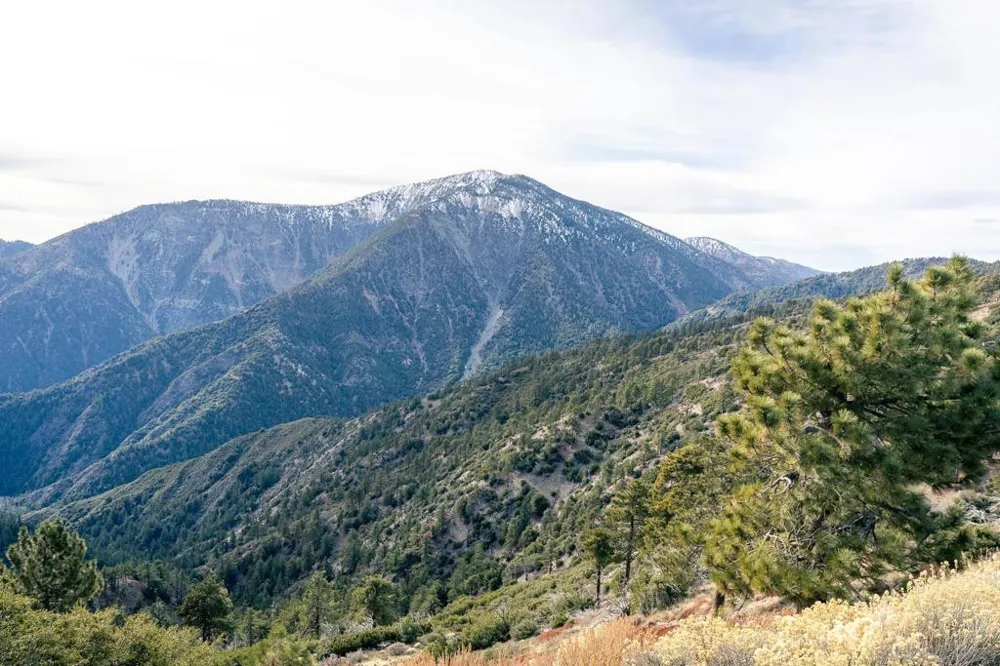 Timberline Dr Wrightwood, CA 92397