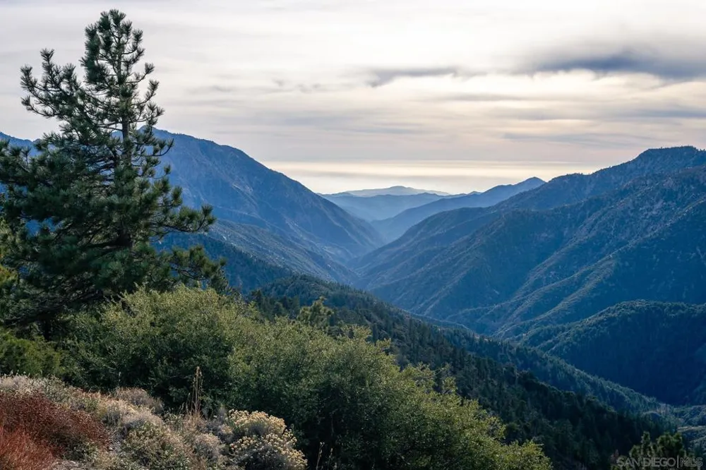 Timberline Dr Wrightwood, CA 92397