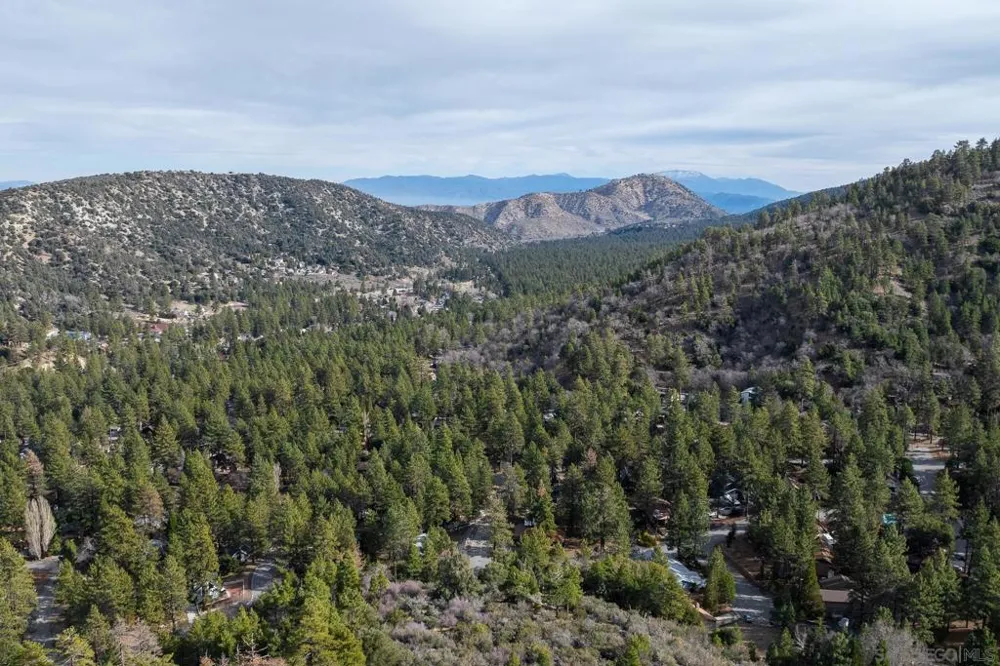 Timberline Dr Wrightwood, CA 92397