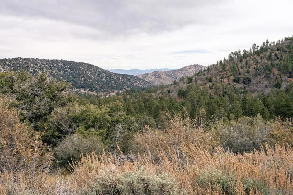 Timberline Dr Wrightwood, CA 92397