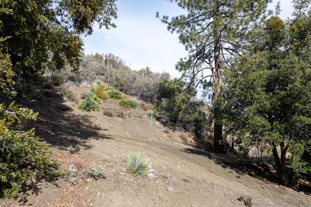 Timberline Dr Wrightwood, CA 92397