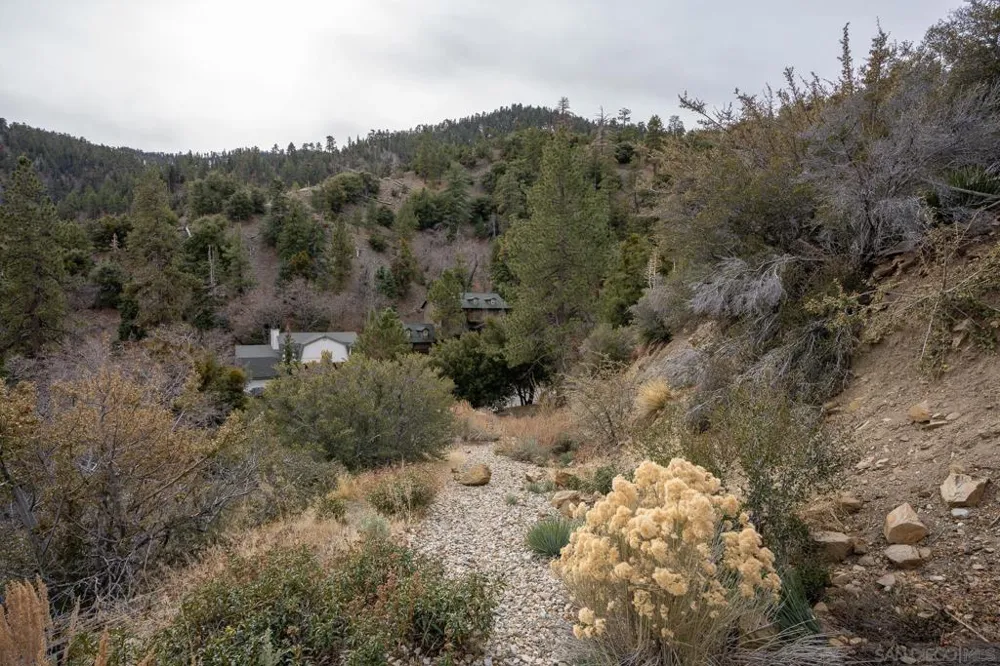 Timberline Dr Wrightwood, CA 92397
