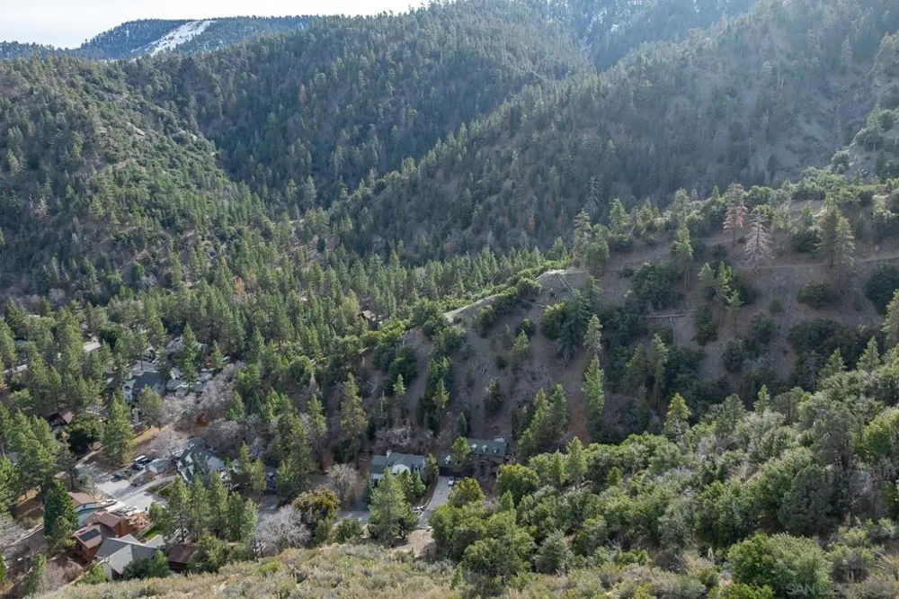 Timberline Dr Wrightwood, CA 92397