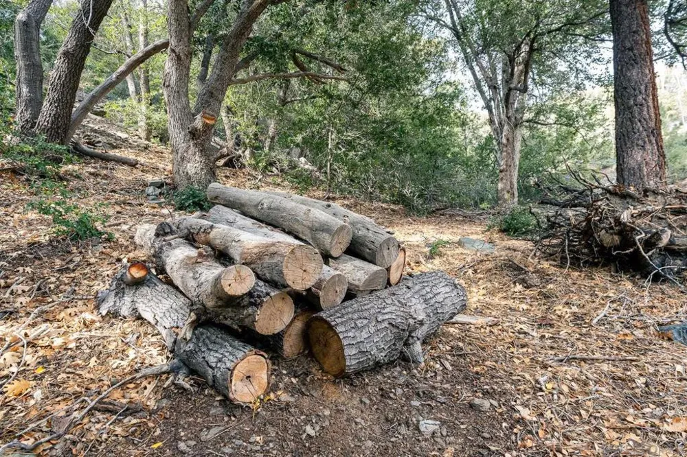 Timberline Dr Wrightwood, CA 92397