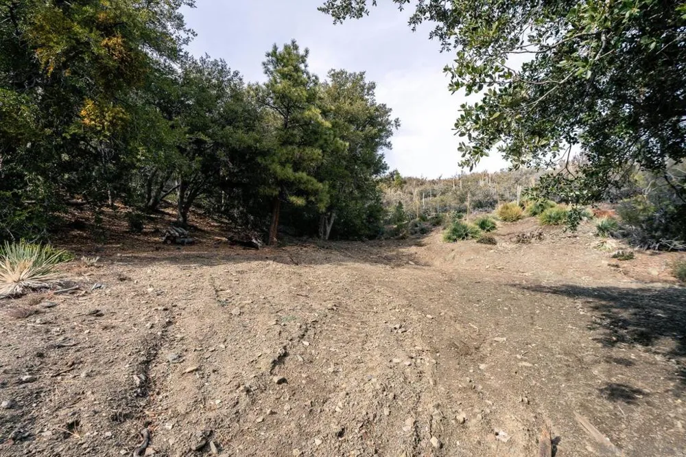 Timberline Dr Wrightwood, CA 92397