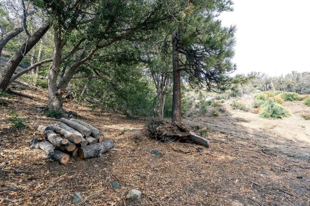 Timberline Dr Wrightwood, CA 92397