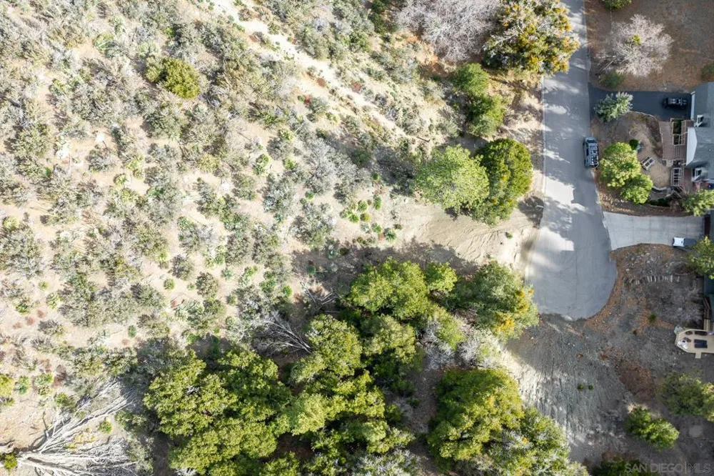 Timberline Dr Wrightwood, CA 92397