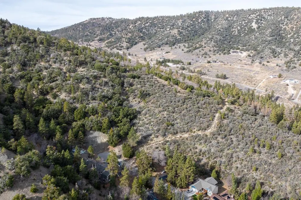 Timberline Dr Wrightwood, CA 92397