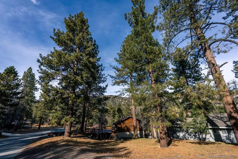 Timberline Dr Wrightwood, CA 92397