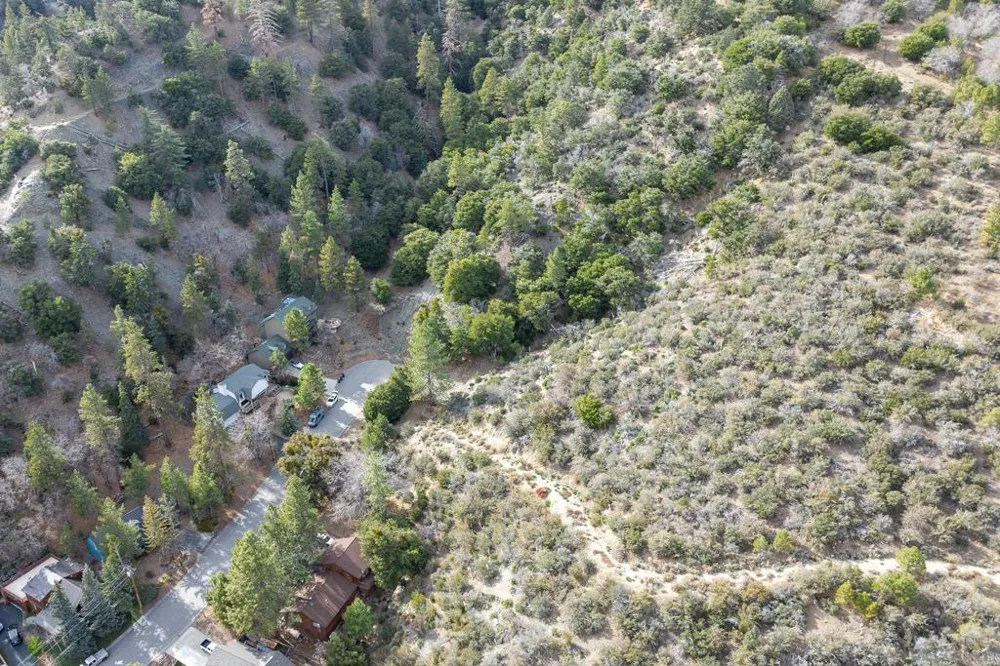 Timberline Dr Wrightwood, CA 92397