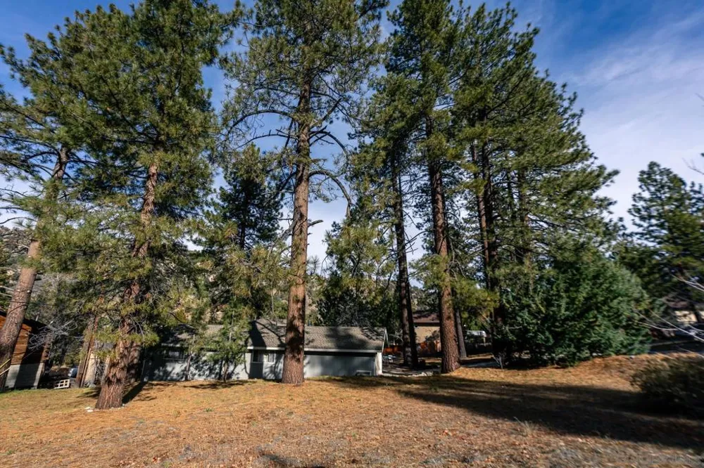 Timberline Dr Wrightwood, CA 92397