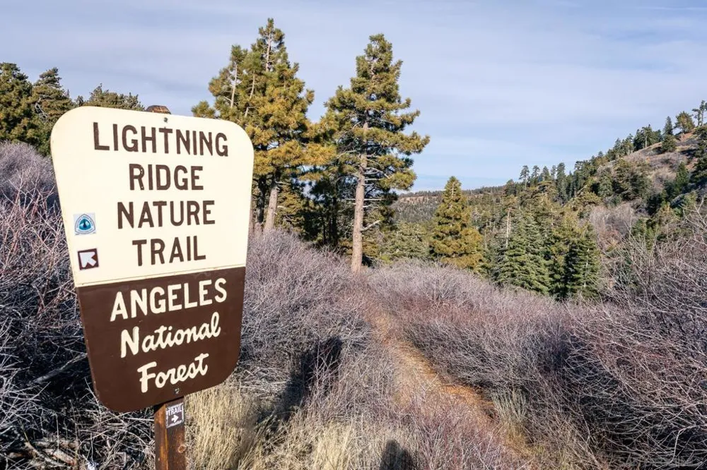 Timberline Dr Wrightwood, CA 92397