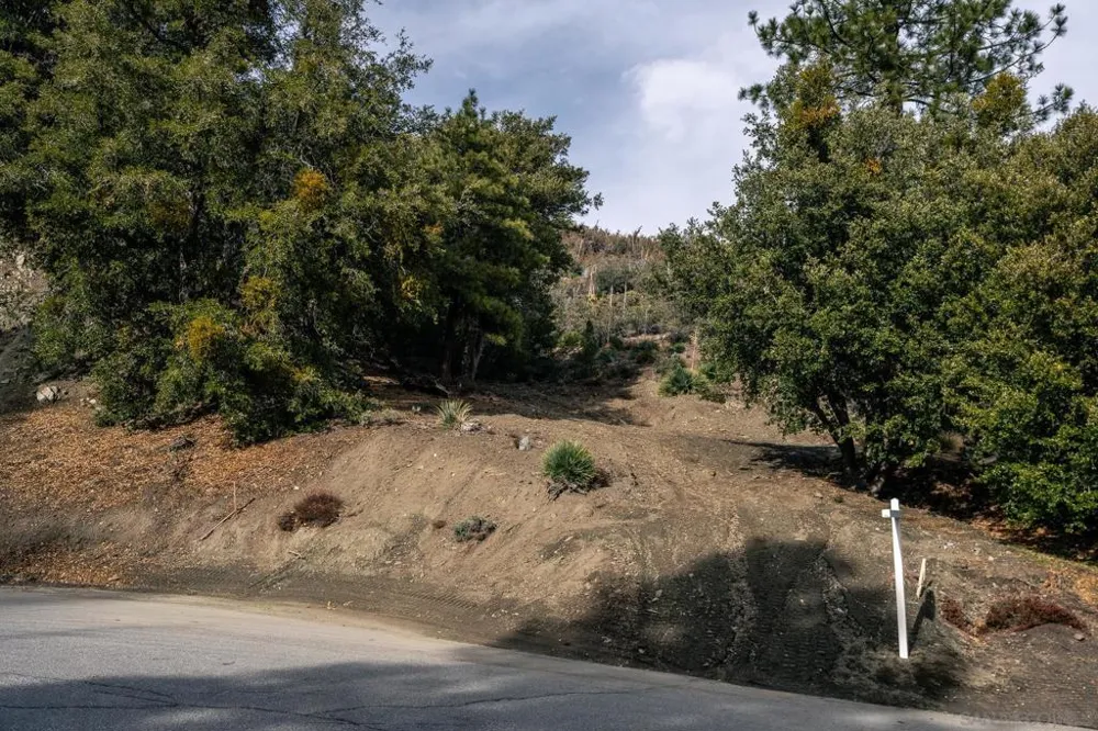 Timberline Dr Wrightwood, CA 92397
